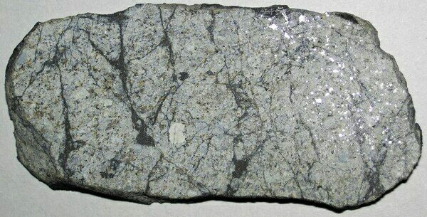 An ordinary chondrite in cross-section
